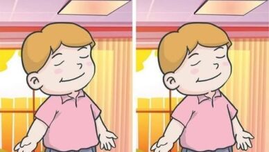The Boy and His Room: Can You Find the Only Difference? 👀
