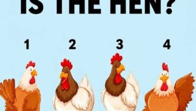 Only 1 in 10 People Can Spot the Hen