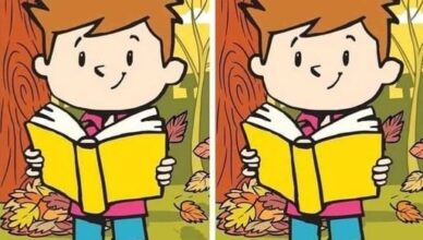 Can You Spot the 1 Hidden Difference?