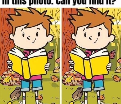 Can You Spot the 1 Hidden Difference?