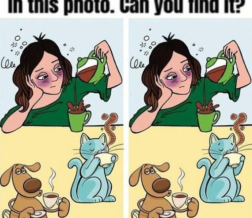 Can You Find the 1 Hidden Difference?