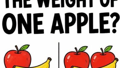 What Is the Weight of One Apple? 🍎
