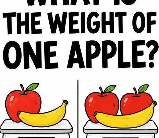 What Is the Weight of One Apple? 🍎
