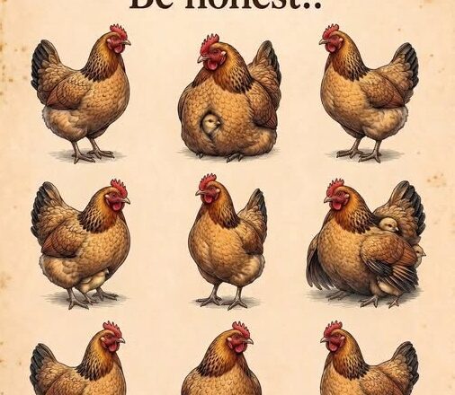 🐔 How Many Chickens Can You Spot in This Picture?