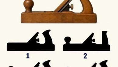 Only the Most Observant People Can Match the Correct Shadow
