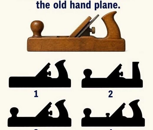 Only the Most Observant People Can Match the Correct Shadow