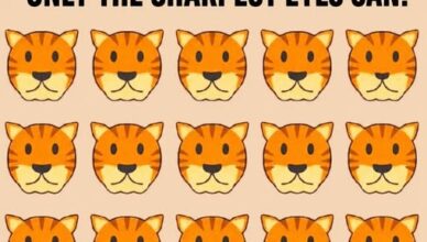 🐯 SPOT THE DIFFERENT TIGER!