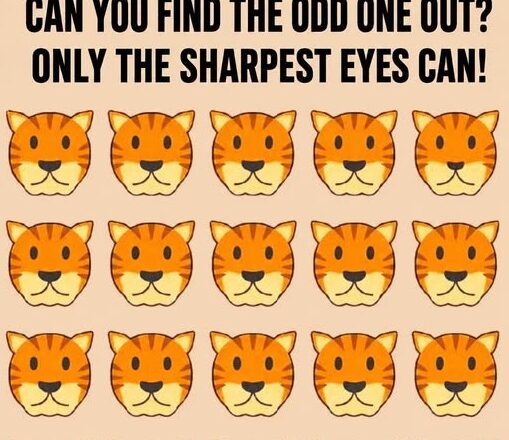 🐯 SPOT THE DIFFERENT TIGER!