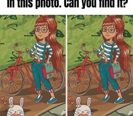 Spot 1 Difference: The Girl, the Red Bicycle, and the Heart Bunny! 🐰❤️