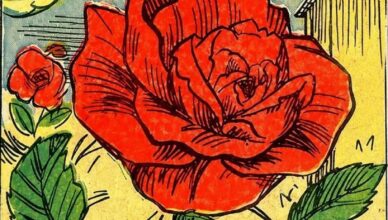 The Rose Riddle: Can You Find the Hidden Face?