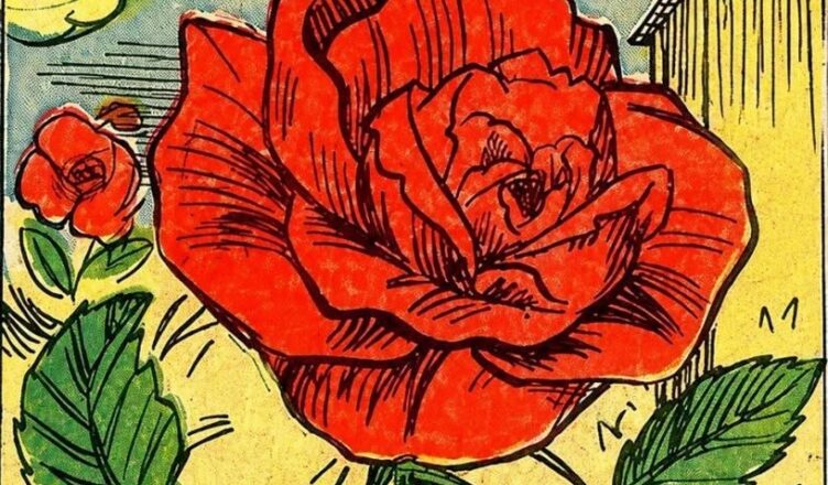 The Rose Riddle: Can You Find the Hidden Face?