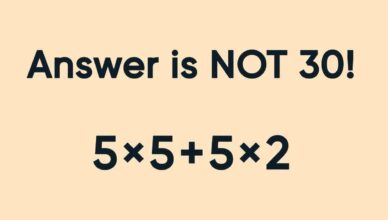 Can You Solve This Math Puzzle?