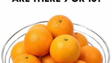 Vision Test: Can You Count the Oranges?