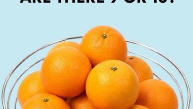 VISION TEST: How Many Oranges Can You Count? 🍊👀