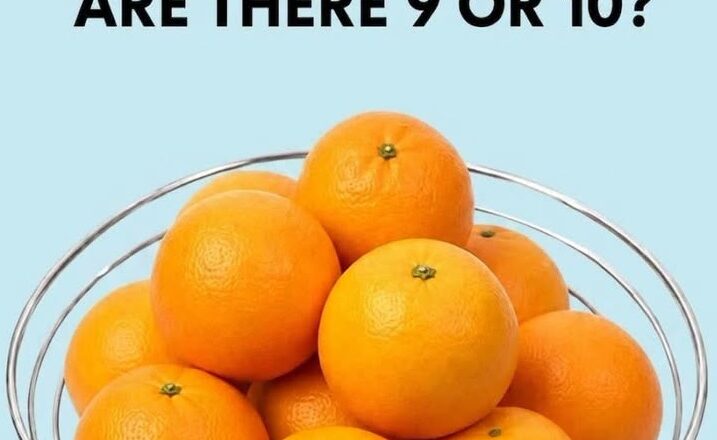 VISION TEST: How Many Oranges Can You Count? 🍊👀