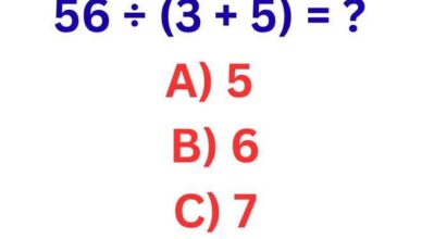 🧠 Can You Solve This Math Puzzle?