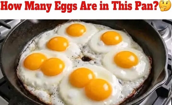 How Many Eggs Are in This Pan? 🥚🍳
