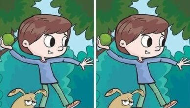 Boy and His Grumpy Dog: Find 1 Difference