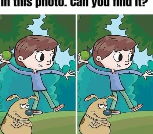 Boy and His Grumpy Dog: Find 1 Difference