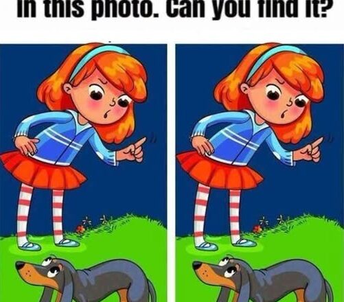 The Mad Girl and Her Wiener Dog: Find 1 Difference