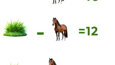 Can You Solve This Grass & Horse Puzzle?