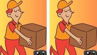 Spot the Difference: Can You Find the Hidden Detail?