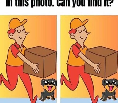 Spot the Difference: Can You Find the Hidden Detail?