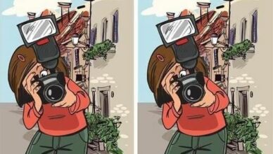 A Photographer’s Alley: Can You Spot the One Difference?