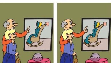Old Couple: Can You Find the 1 Difference?