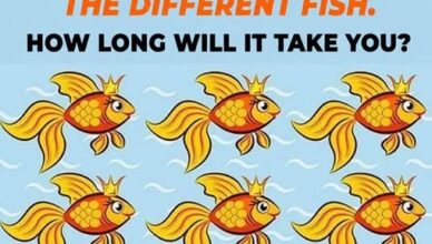 Only People With Sharp Eyes Can Find the Different Fish