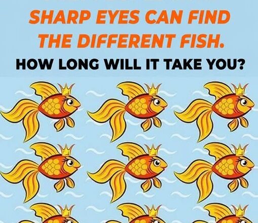 Only People With Sharp Eyes Can Find the Different Fish
