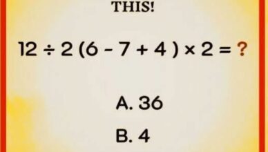The Tricky Math Puzzle