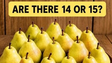 ATTENTION TEST! CAN YOU COUNT ALL THE PEARS?