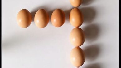 Move One Egg So There Are 5 Eggs on Each Side