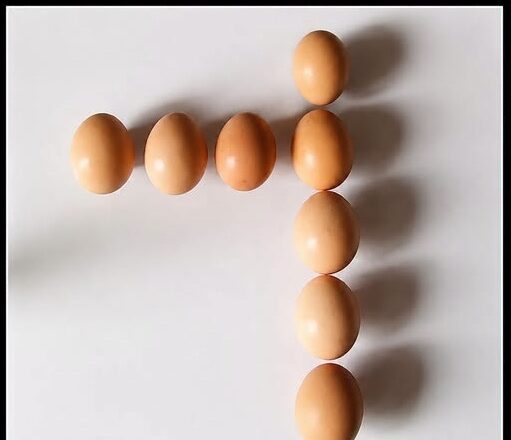 Move One Egg So There Are 5 Eggs on Each Side