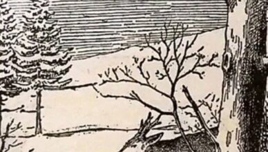 Can You Spot the Hidden Man? If You Can, Your Brain Is in Great Shape!