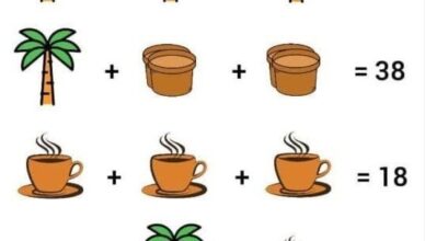 🧠 Can You Solve This Tricky Puzzle? Only Sharp Eyes Get the Correct Answer!