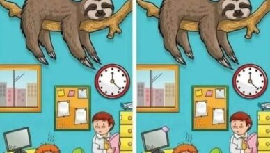 🔥 CAN YOU FIND THE 1 DIFFERENCE? 🦥👀
