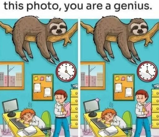 🔥 CAN YOU FIND THE 1 DIFFERENCE? 🦥👀