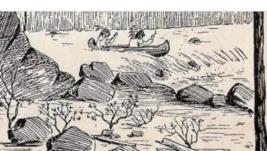 Your Brain Is Still Young If You Can Spot the Man in the Hat! 👀🎩