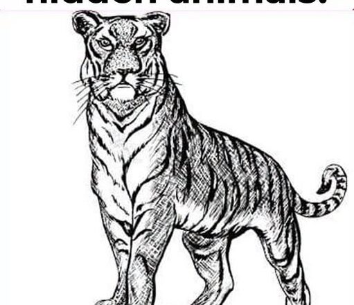 🐯🔎 Can You Spot All 3 Hidden Animals?