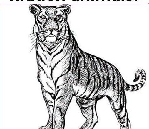 Can You Spot All 3 Hidden Animals?