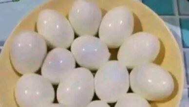 🥚 EYE TEST: HOW MANY EGGS CAN YOU COUNT?