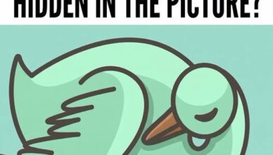🔢 WHAT NUMBER DO YOU SEE HIDDEN IN THIS PICTURE?