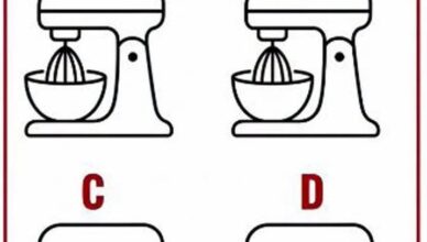 Can You Spot the Odd Stand Mixer? 👀🧁