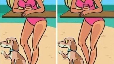 There Is Only ONE Difference Between These Two Pictures… Can You Find It? 👀