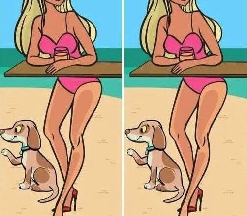 There Is Only ONE Difference Between These Two Pictures… Can You Find It? 👀