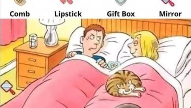 CAN YOU SPOT THE 4 SECRET OBJECTS HIDDEN IN THIS BEDROOM?