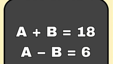 Can you solve this math challenge?