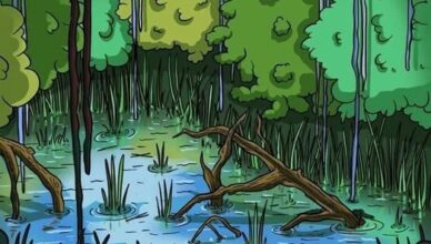 Most People Miss It: Can You Spot the Hidden Crocodile?